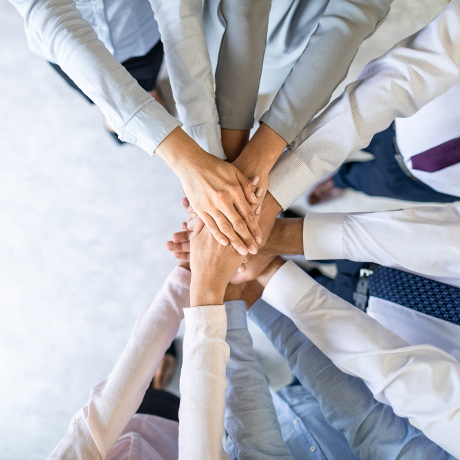 partner with Hai Robotics